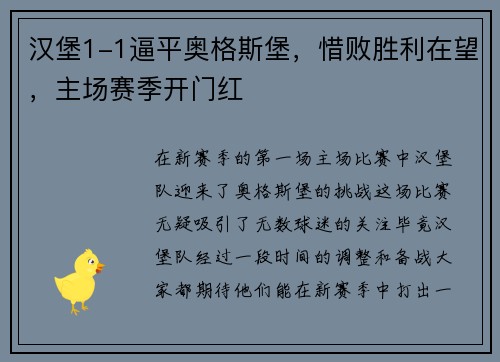 汉堡1-1逼平奥格斯堡，惜败胜利在望，主场赛季开门红