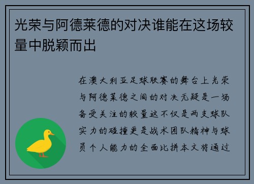 光荣与阿德莱德的对决谁能在这场较量中脱颖而出