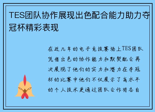 TES团队协作展现出色配合能力助力夺冠杯精彩表现