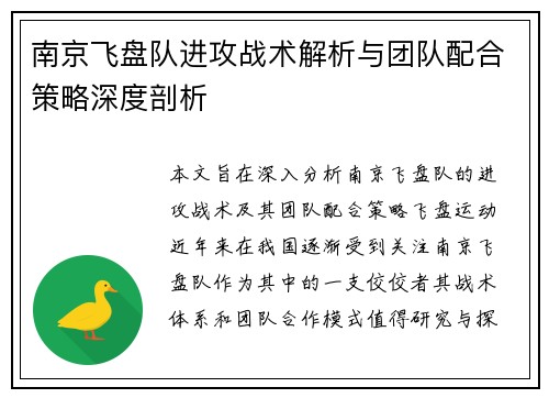 南京飞盘队进攻战术解析与团队配合策略深度剖析